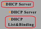 Router DHCP Settings